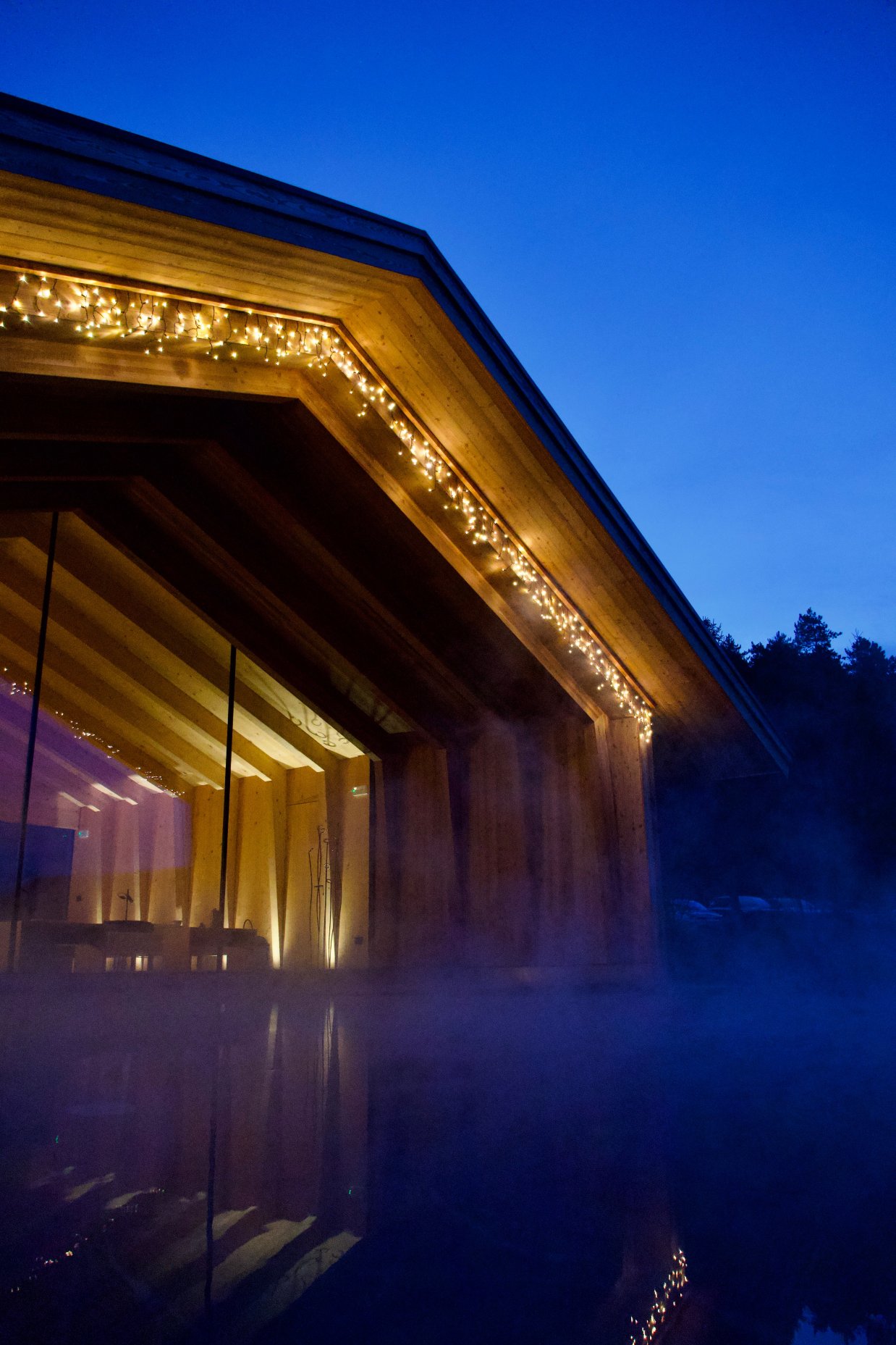 皮内塔自然疗养度假村酒店-泳池