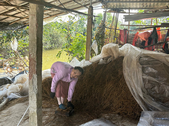 Vietnam Motorbike Tours - Bao Easyrider-岘港必去景点