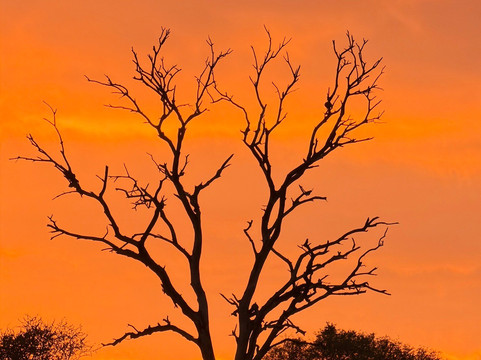 Hylton Langley Safaris-霍德斯普鲁特必去景点