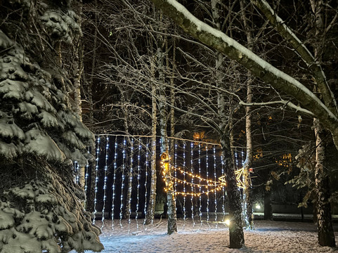 朱尼尔酒店主图