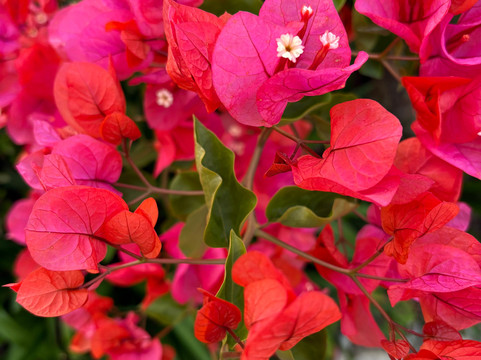 Lairds Lodge Country Estate主图