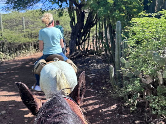 Rancho Loco-Santa Cruz必去景点