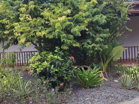 Cafe Chaulet - Musee du Cafe-Vieux-Habitants必去景点