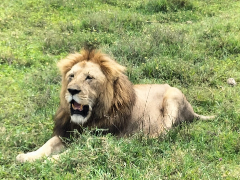 Eden Tours and Travel-桑给巴尔岛必去景点