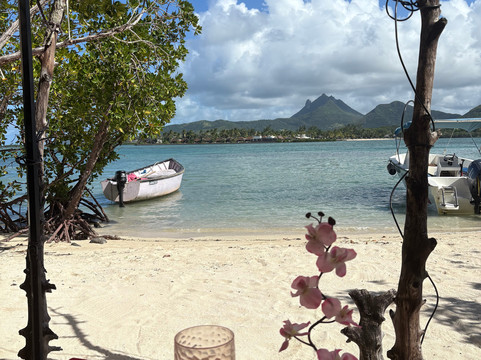 Sud Tropical-蓝湾必去景点