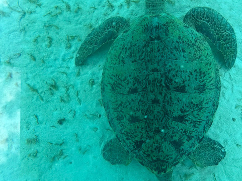 Ouest Corail-Bourail必去景点