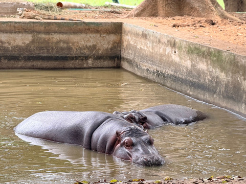 Yumká-Villahermosa必去景点