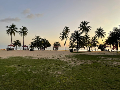 Anse Figuier-Riviere-Pilote必去景点