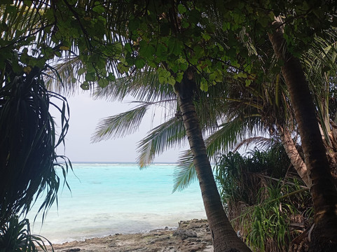 Thoddoo Sun Sky Inn主图