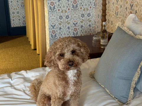 The Barnsdale, Rutland主图