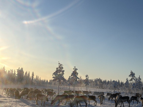 Naamisuvanto Safari & Fishing Resort-Pello必去景点