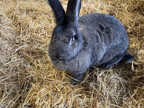 Farm Stop-Portlethen必去景点