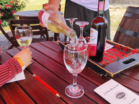 Vinedo Umana Dajud-莱瓦镇必去景点