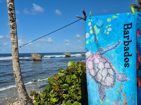 Ted's Tours-Hastings必去景点