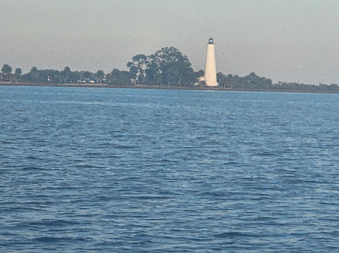 圣马克国家野生动物保护区-塔拉哈西必去景点