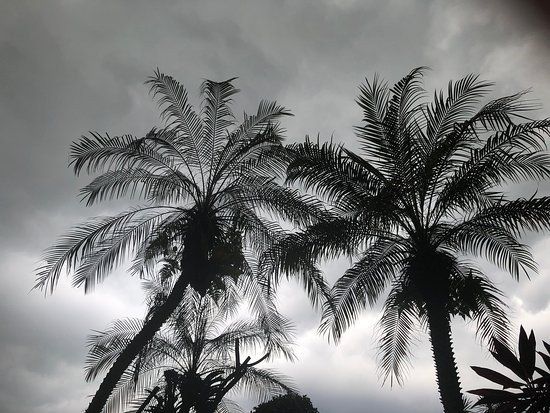 新加坡乌节龙都大酒店 远东集团主图