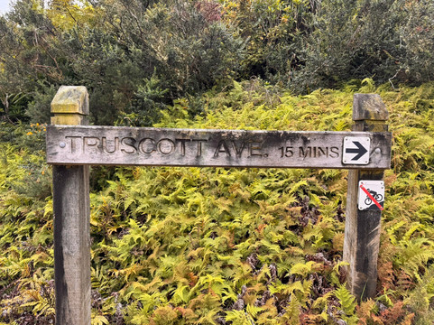 Mount Kaukau-惠灵顿必去景点