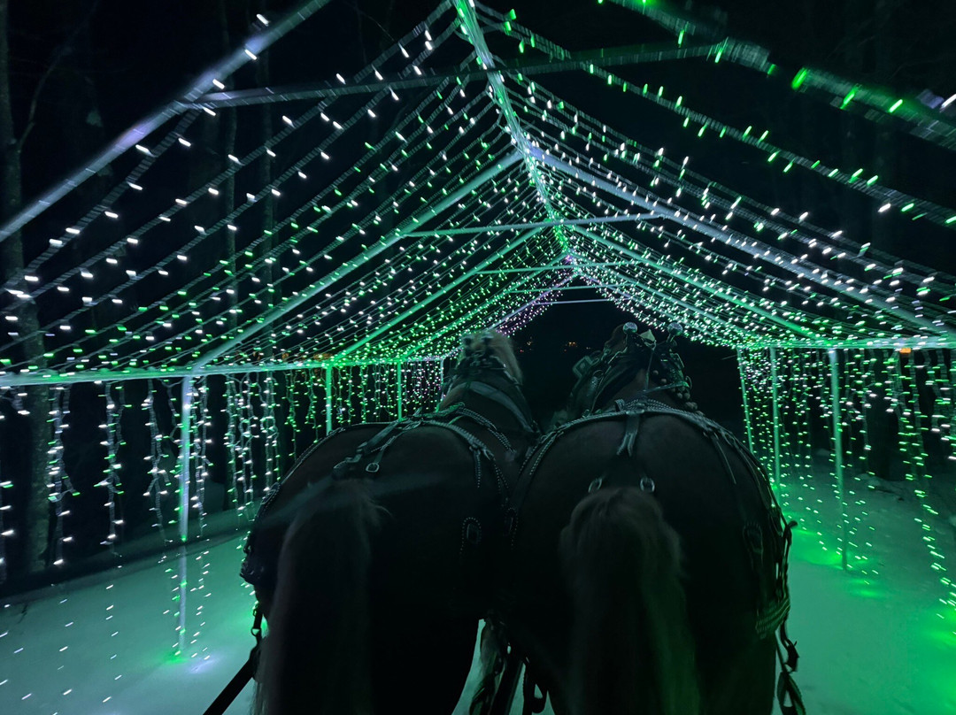 Nestlenook Estate & Resort Sleigh Rides-杰克逊必去景点