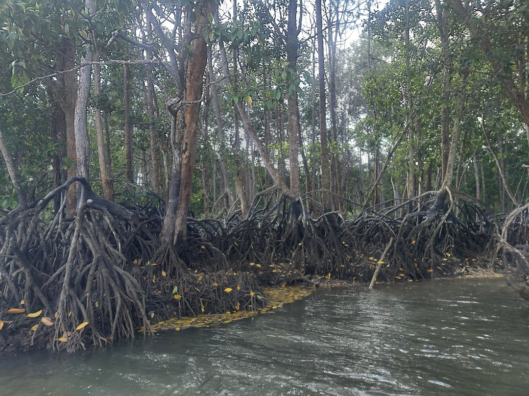 JungleWalla Desaru-本那瓦镇必去景点