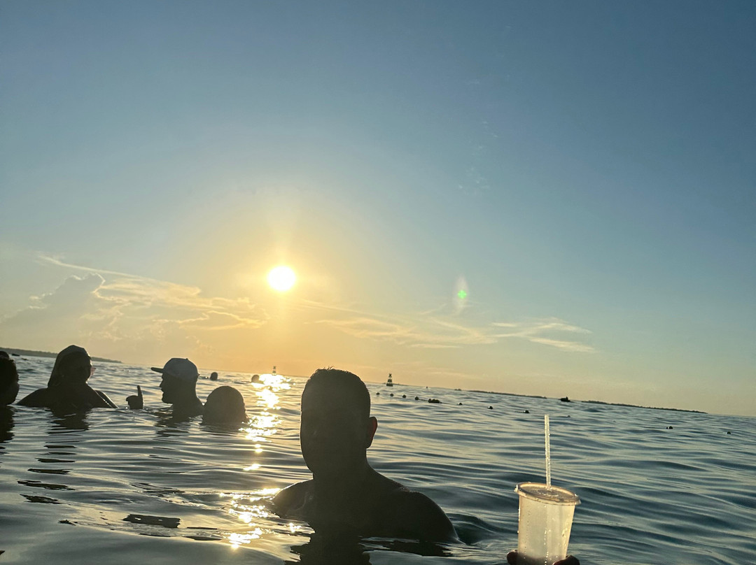 Parque O Figueiral-Presidente Epitacio必去景点