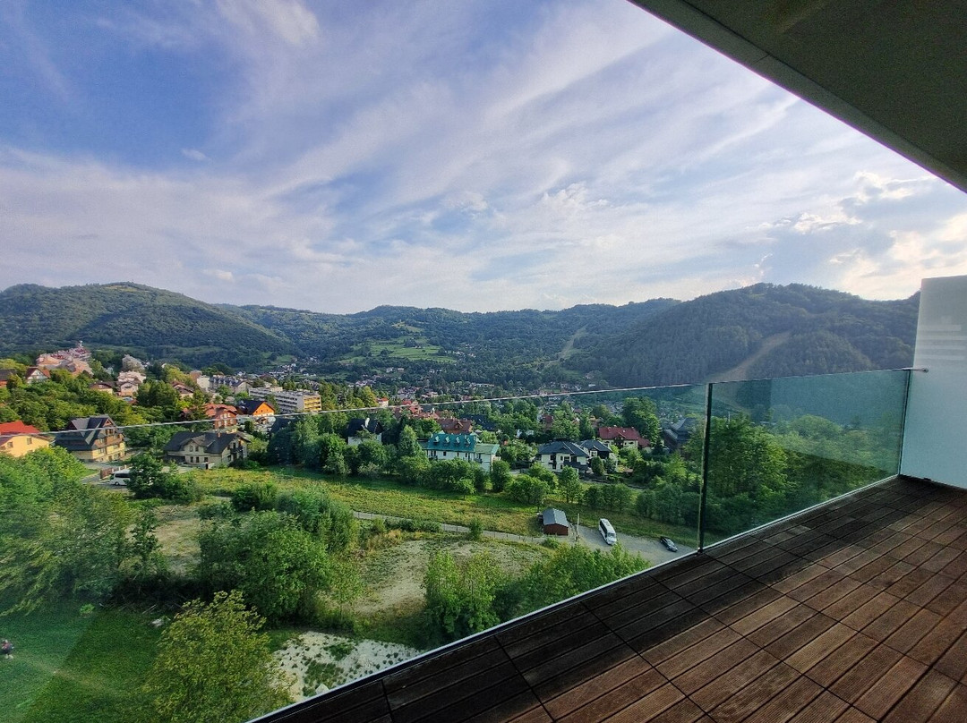 皮耶尼尼君悦 萨夫尼察-凯悦悠选酒店