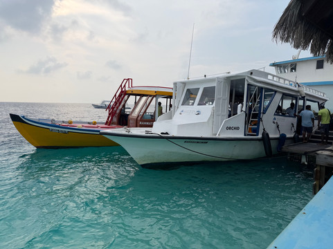 Diving Bluetribe Moofushi-南阿里环礁必去景点