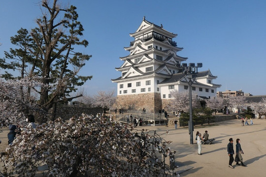 Fukuyama Castle-福山市必去景点