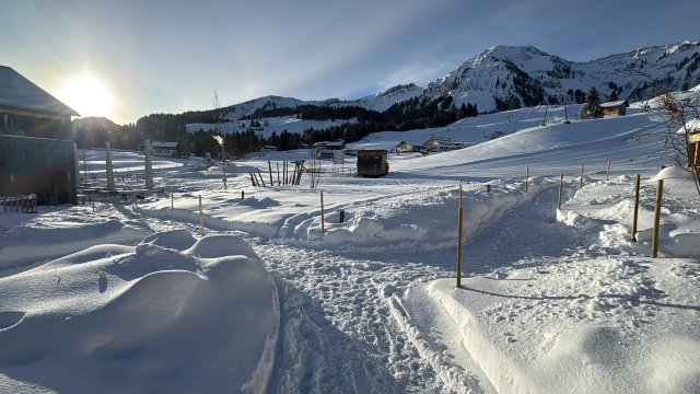 福舍格生态旅社-官方