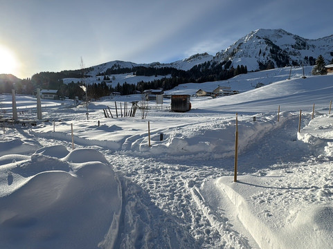 福舍格生态旅社主图