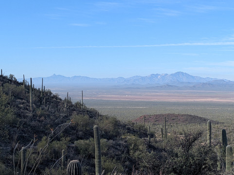 Saguaro National Park-图森必去景点