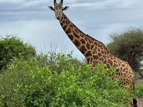 Aqua Paradise Safaris Day Tours-乌库达必去景点