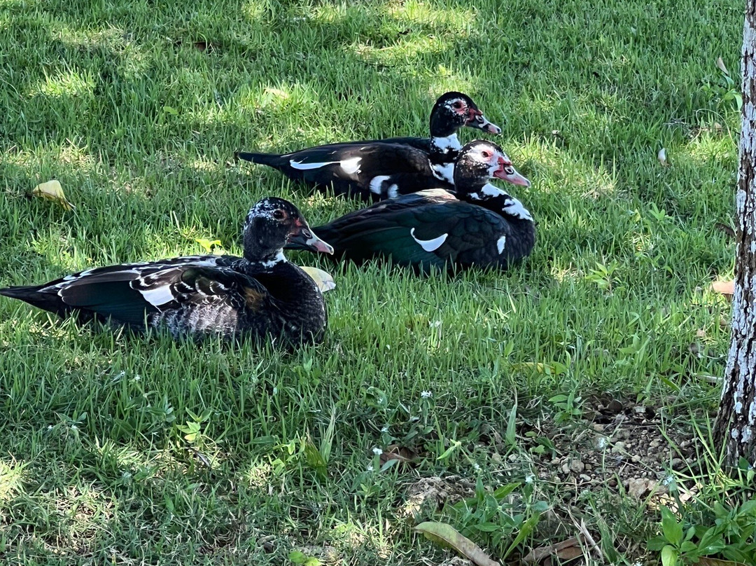 La Estancia Golf Resort-拉罗马纳必去景点