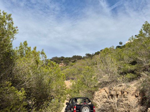 Island Tours Mallorca-S'Arenal必去景点