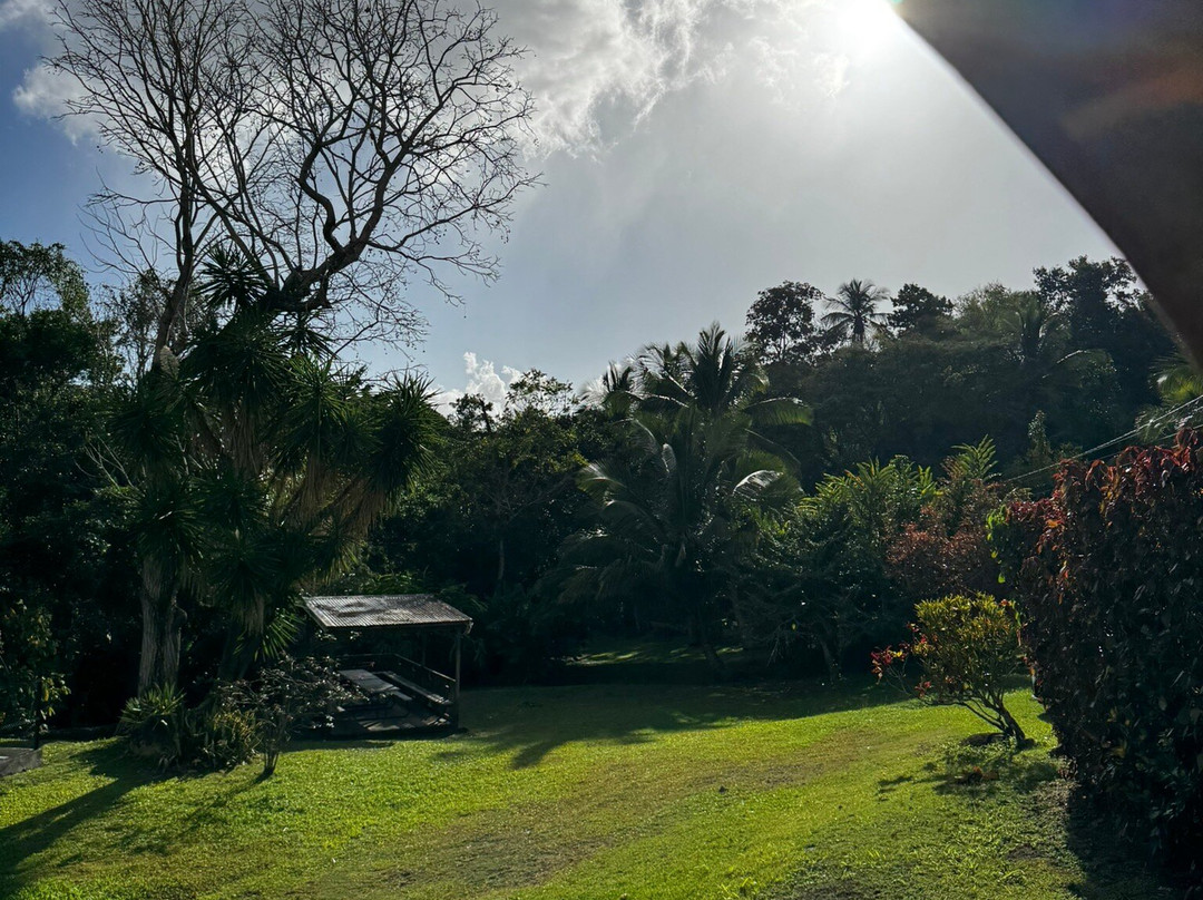 Vanibel-Vieux-Habitants必去景点