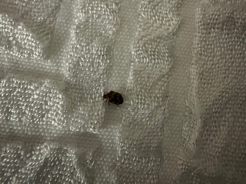 希尔顿欢朋酒店-大学公园市主图