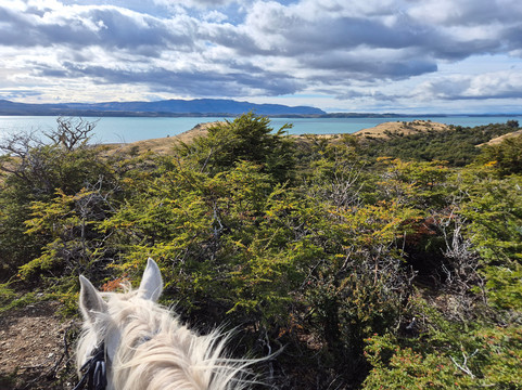 Estancia La Peninsula-纳塔莱斯港必去景点