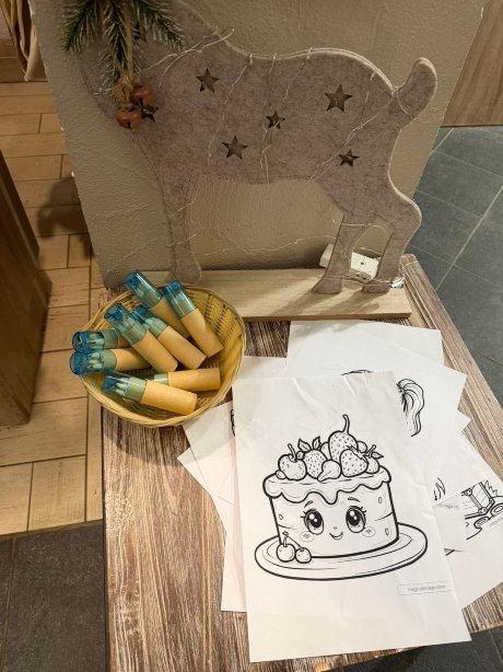 帕斯杜路普索威尔酒店-官方