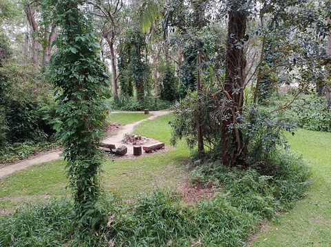 Treehouse Retreat at Diamond Waters主图