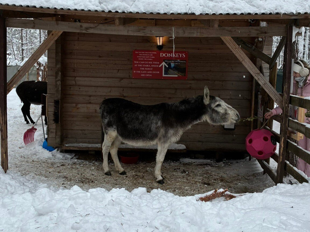 Santa's Pets Tallitontun Piha-罗瓦涅米必去景点