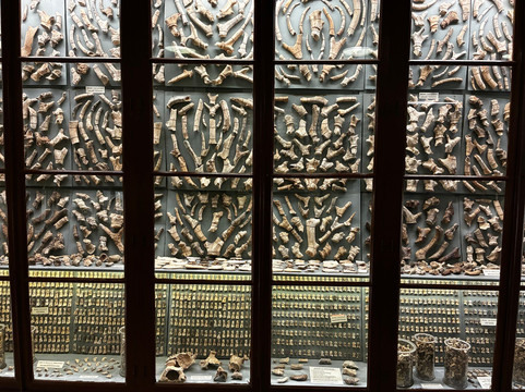 Ghar Dalam-Birzebbuga必去景点