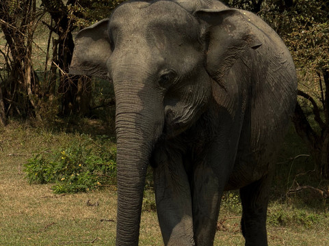 Southern Wild Safari-蒂瑟默哈拉默必去景点