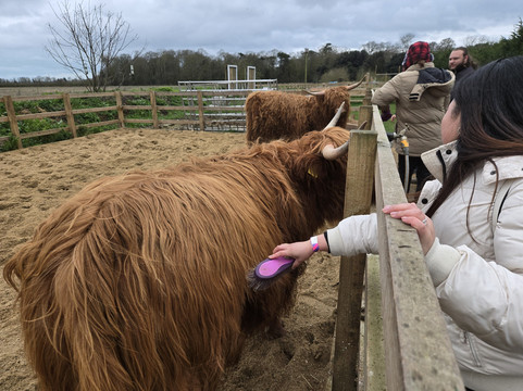 Quex Adventure Farm Park-Birchington必去景点