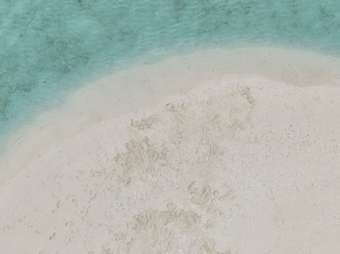 Papa Fish Excursions-乌库拉斯必去景点