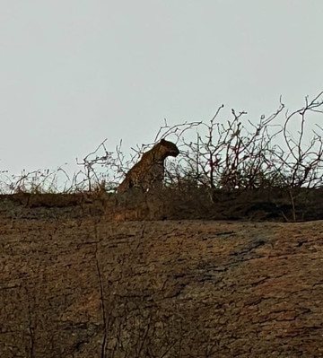 The Fateh Pratap Hotel And Resort