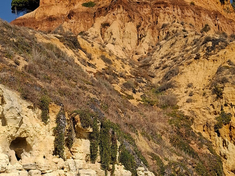 Cliff Boardwalk and Pathway-Olhos de Agua必去景点