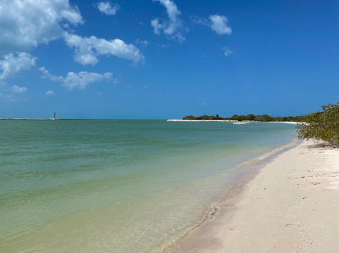 Río Lagartos Experience By Jorge N-里奥拉加托斯必去景点