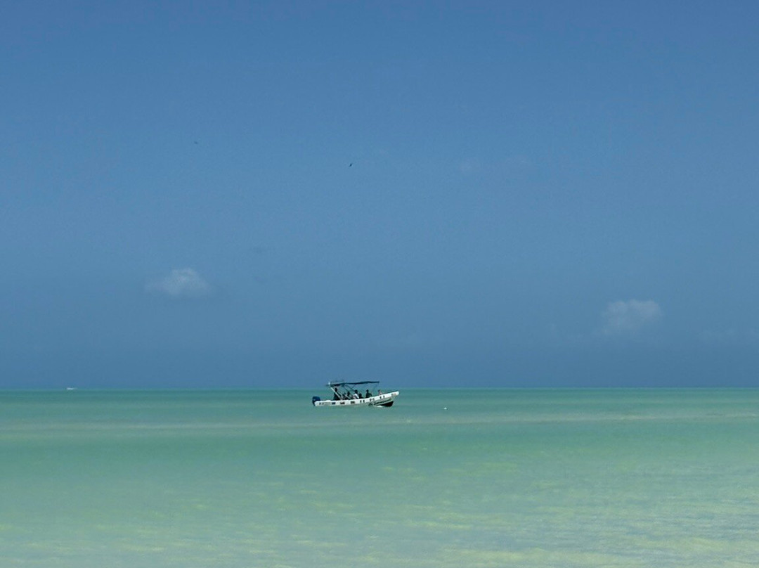 Paseo Tours-普拉亚德尔卡曼必去景点