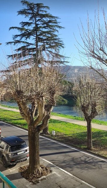 Albergo I Villini-官方