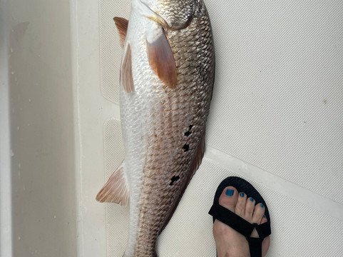 Lucky Chucky Charters-纳瓦拉必去景点