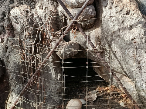 Lagune de la Somone-索蒙必去景点